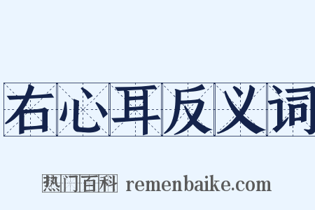 右心耳反义词是什么意思的图片